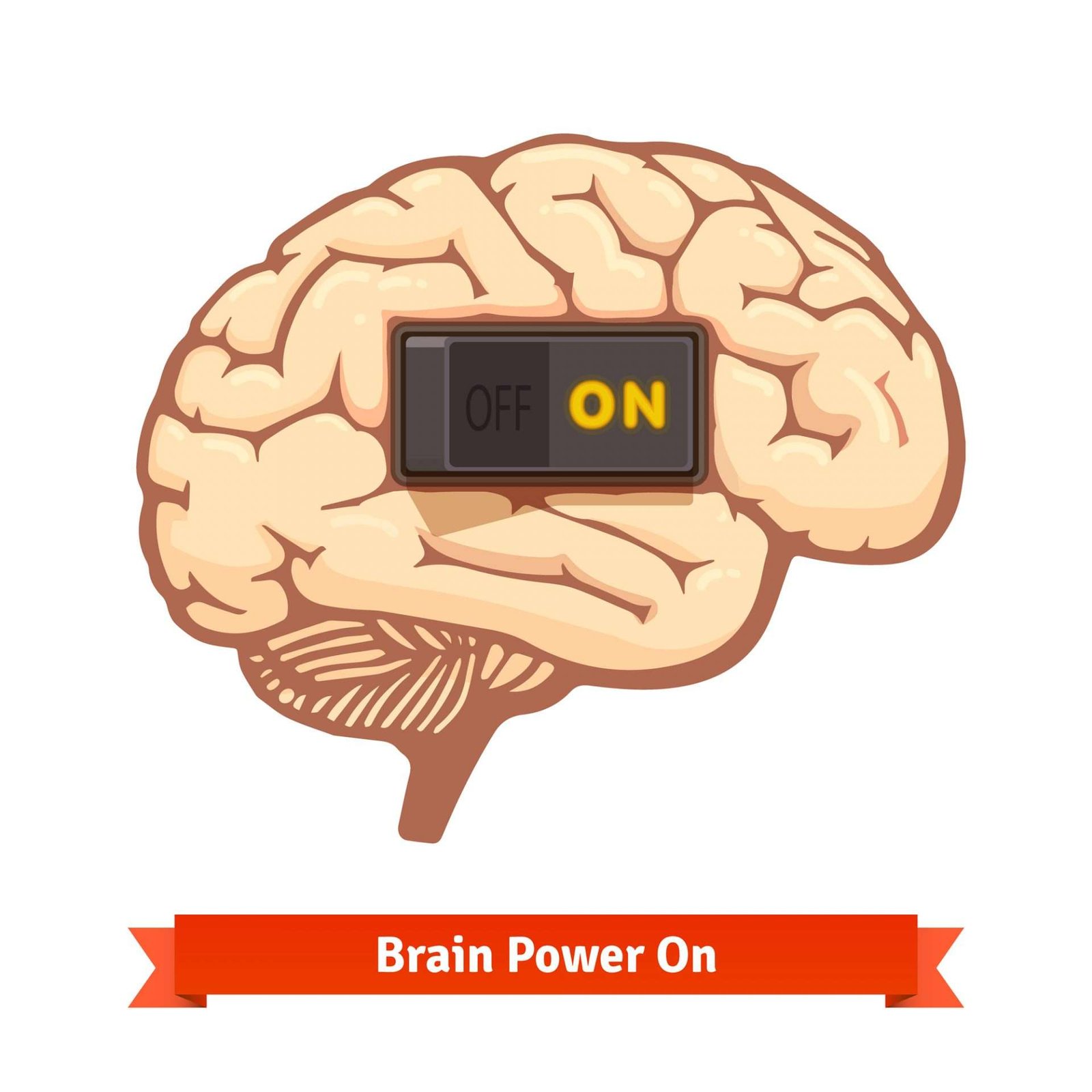 Top 10 Brain Hacks To A Better Memory - Here are 10 Brain Hacks To A Better Memory!