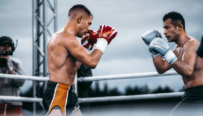 How Many Martial Arts Skills Are There?