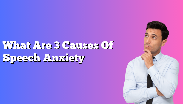 What Are 3 Causes Of Speech Anxiety