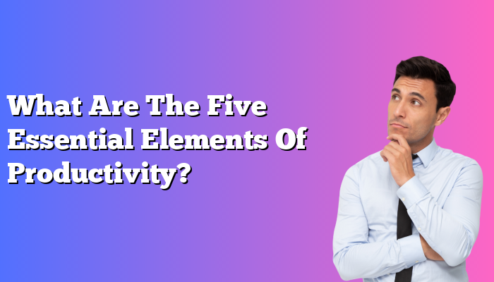 What Are The Five Essential Elements Of Productivity?