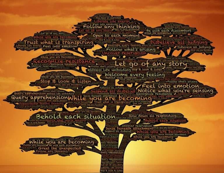 the importance of building a growth mindset for adaptability in a flexible career